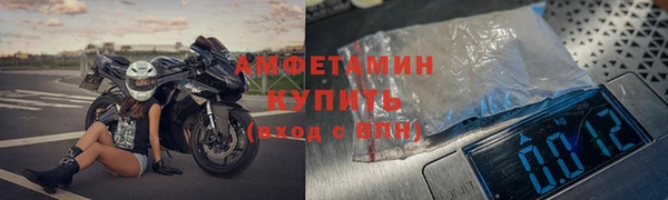 шишки Балахна