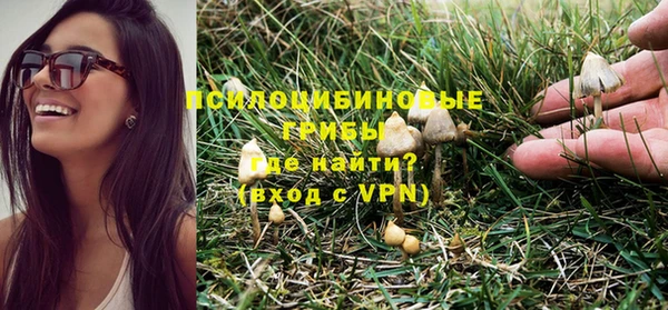 шишки Балахна