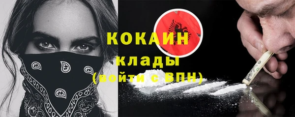шишки Балахна