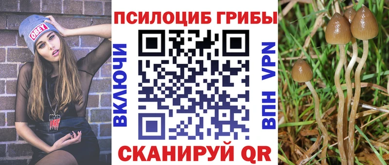 как найти закладки  Бирюсинск  Галлюциногенные грибы MAGIC MUSHROOMS 